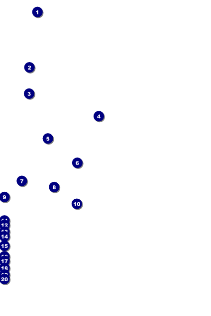 Lymphoma Poster Front Field Markers