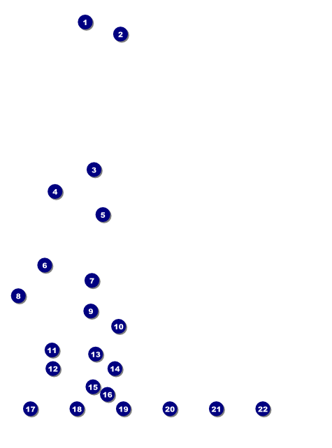 Mexican Fiesta Logo Flyer Front Field Markers