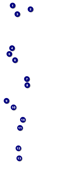 Mexican Fiesta VIP Pass Front Field Markers