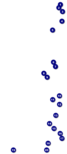 Australia VIP Pass Front Field Markers