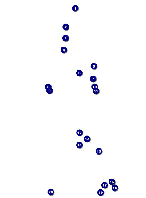 Climbing Flyer Front Field Markers