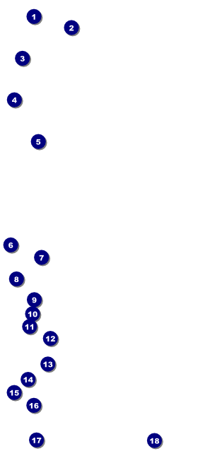 Murder Mystery VIP Pass Front Field Markers