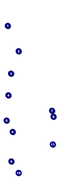Retro Stripes VIP Pass Front Field Markers