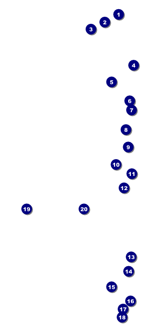 White Ribbon VIP Event Badge Large Front Field Markers
