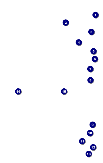 White Ribbon VIP Event Badge Medium Front Field Markers