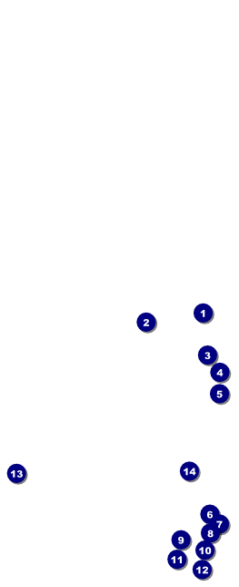 Prism Tree Table Tent Front Field Markers