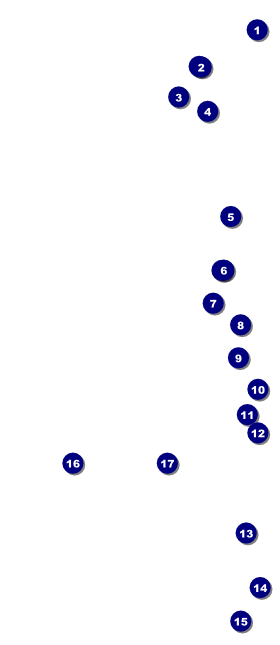 Carnival VIP Event Badge Large Front Field Markers