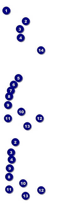 Fourth of July - Freedom Reserved Event Ticket Front Field Markers