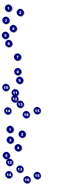 St Patrick's Day Shamrock Reserved Event Ticket Front Field Markers