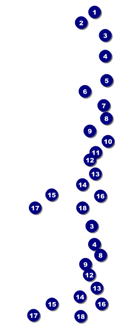 Beach Reserved Event Ticket Front Field Markers