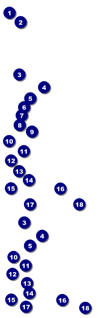 Romeo and Juliet Reserved Event Ticket Front Field Markers