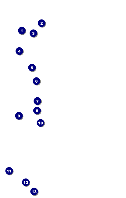 German VIP Event Badge Medium Front Field Markers