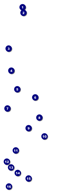 Cycle Tour VIP Pass Front Field Markers