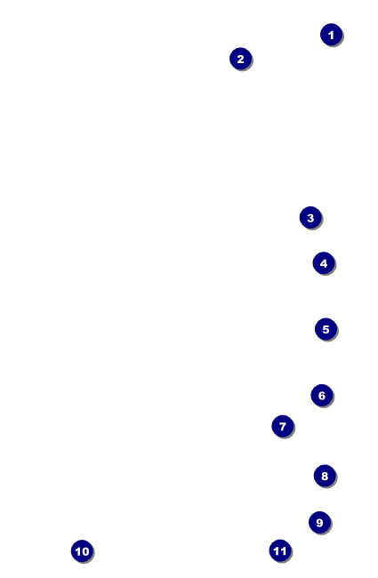 Swim Meet Drink Ticket Front Field Markers
