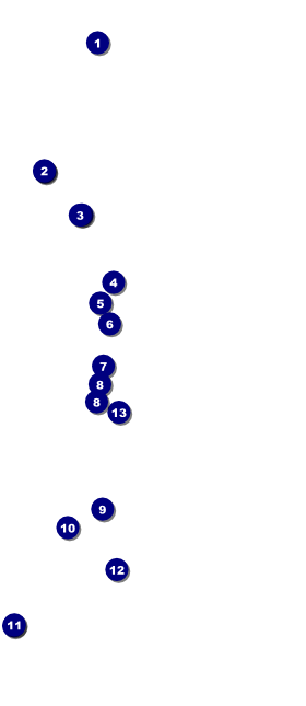 Retro VIP Pass Front Field Markers