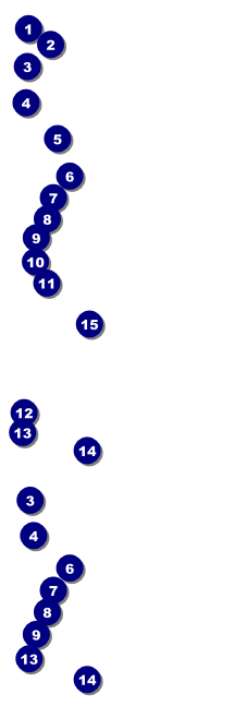 Yellow Rose Event Ticket with image upload Front Field Markers