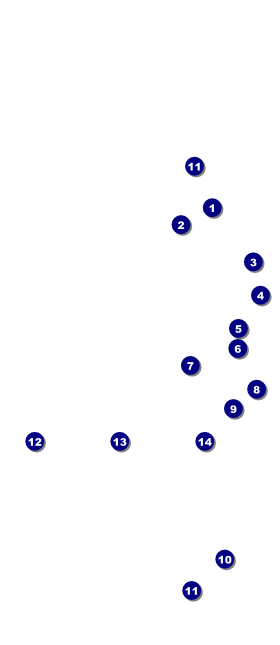 Black Tie Gala Hang Tag Front Field Markers