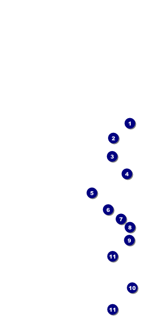 St. Patrick's Day Party Hang Tag Front Field Markers