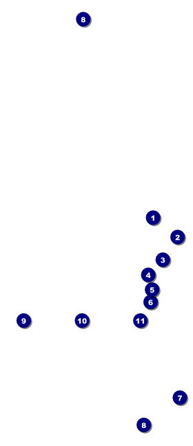 Curling Club Hang Tag Front Field Markers