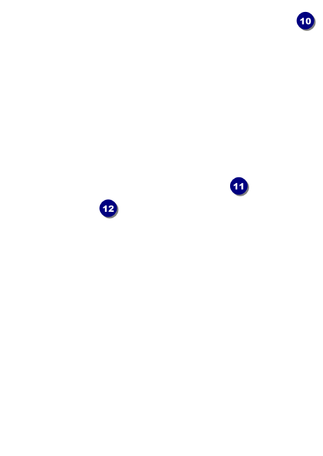 Flower Stag & Doe Postcard Mailer Back Field Markers