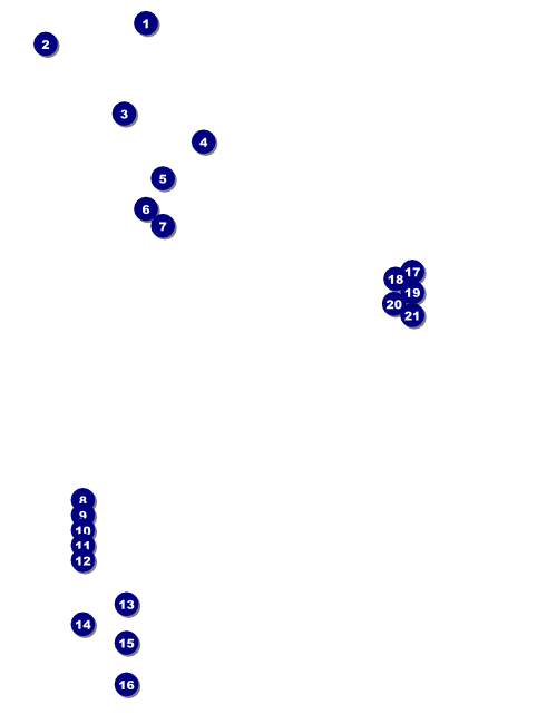 Tucson Flyer Front Field Markers