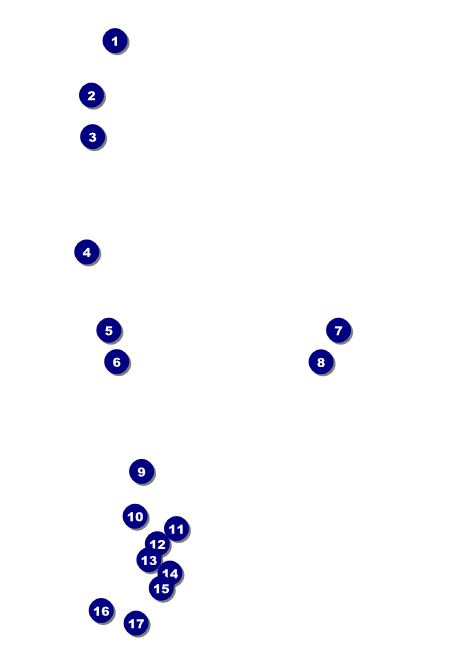 Carnival Monkey Postcard Mailer Front Field Markers