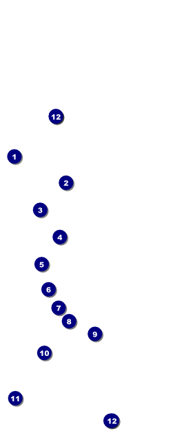 Baseball Hang Tag Front Field Markers