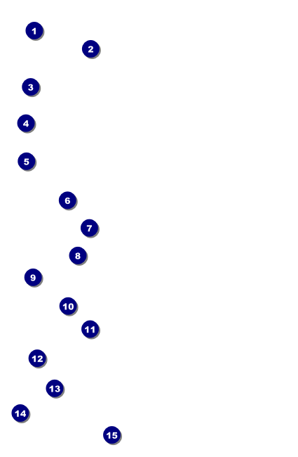 Spider Web Drink Ticket 001 Front Field Markers
