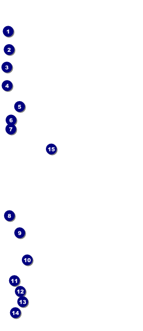 Spider Web VIP Event Badge Large Orange Black Front Field Markers