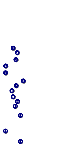 Christmas Angel Hang Tag Front Field Markers