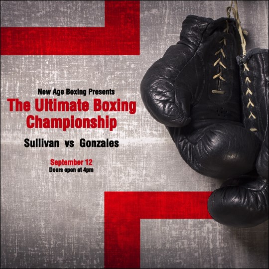 Boxing Gloves Instagram Post