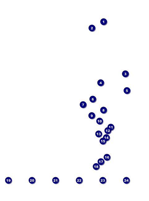 Sydney Flyer (Orange) Front Field Markers