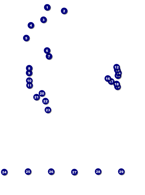 San Jose Logo Flyer Front Field Markers