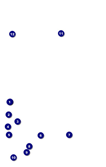 Your Photo Concert Blue VIP Event Badge Medium VIP Event Badge Medium Front Field Markers