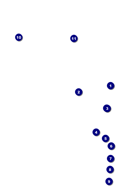 Golden Ornament VIP Event Badge Medium Front Field Markers