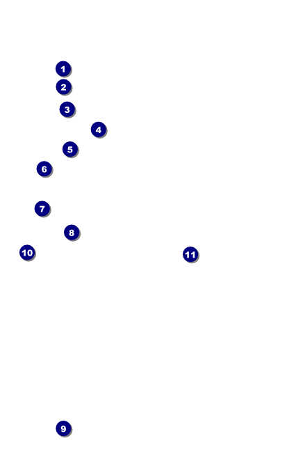 Kansas City VIP Event Badge Small Front Field Markers
