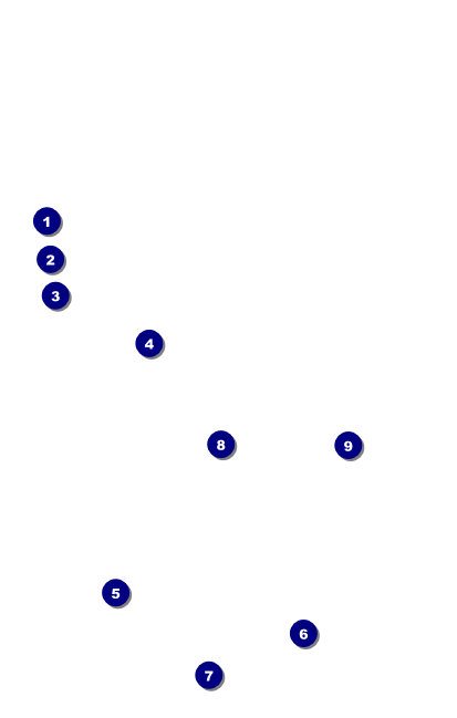 New York VIP Event Badge Medium Front Field Markers