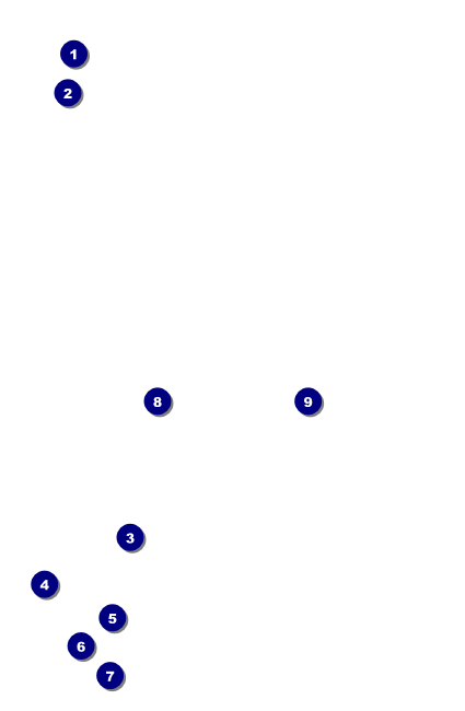 Night Club Neon VIP Event Badge Small Front Field Markers