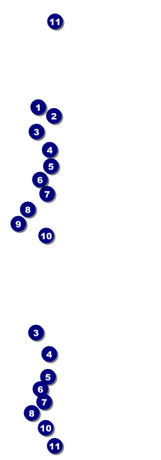 Hawaii General Admission Ticket Front Field Markers