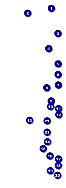 World Food Festival Event Ticket Front Field Markers