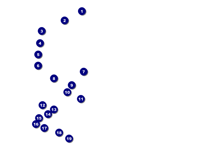 American Flag Invitation 001 Front Field Markers