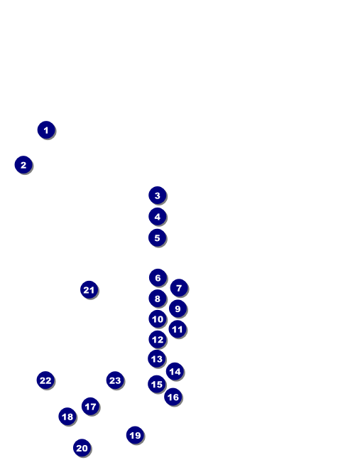 Americana Invitation Front Field Markers