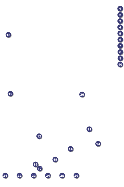 Lions Club International Poster 002 Front Field Markers