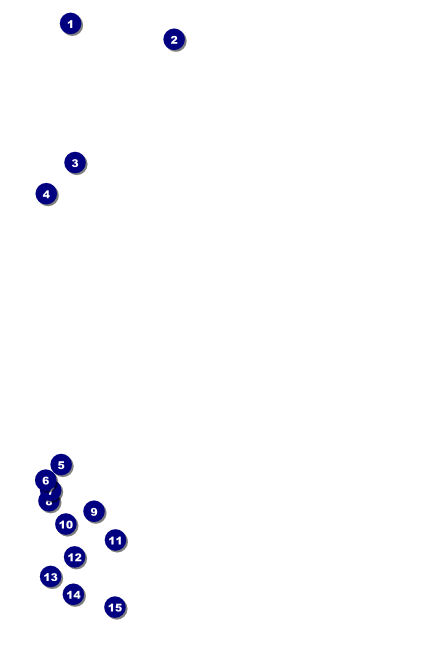 Prism Tree Poster Front Field Markers