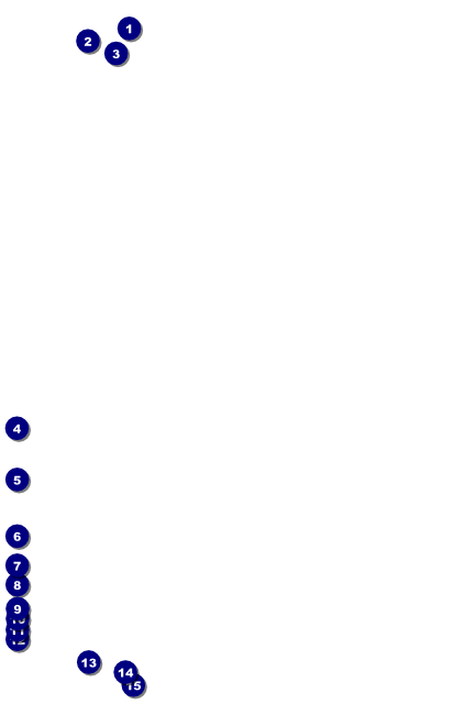 Chinese New Year Poster Front Field Markers