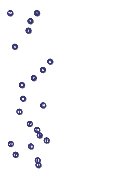 Year Poster (Blue) Front Field Markers