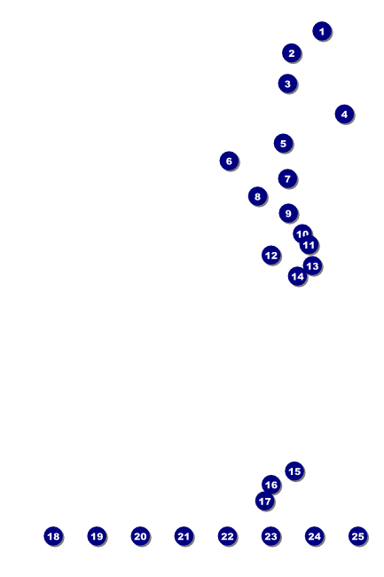 Denver Black and White Poster Front Field Markers