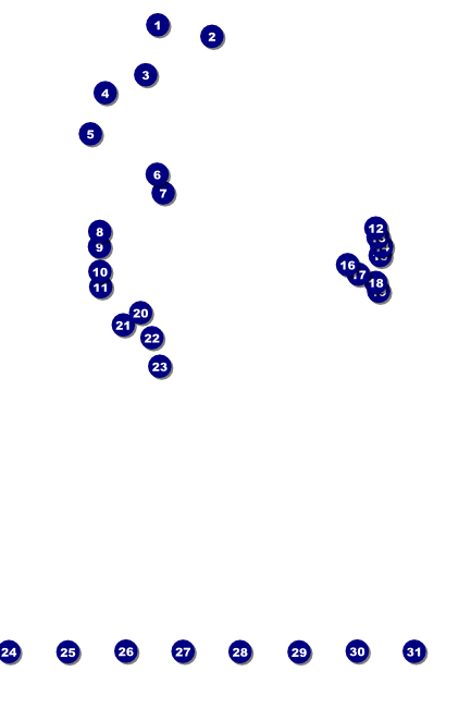 San Jose Logo Poster Front Field Markers