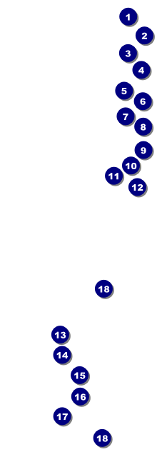 West Virginia Raffle Ticket Front Field Markers