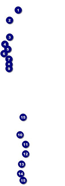 Stage Lights Raffle Ticket Front Field Markers